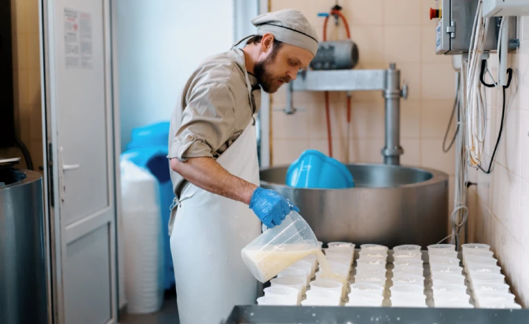transformation du lait